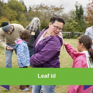 Leaf ID-Thinking Like a Scientist