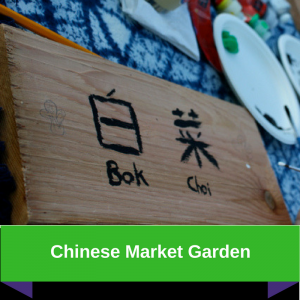 Chinese Market Garden