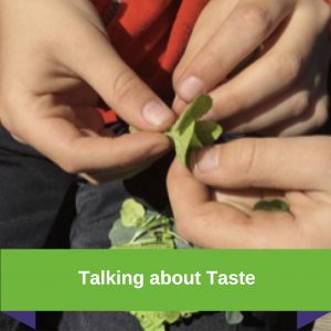Talking About Taste
